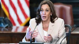Kamala Harris 'struggling' with the 'simplest of concepts'
