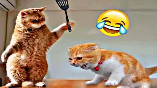 Funniest Animals 2023 😂 Funniest Cats and Dogs 😺🐶