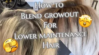 HOW TO BLEND GROW OUT | Foiling BABYLIGHTS and applying a ROOT SHADOW for lower maintenance grow out