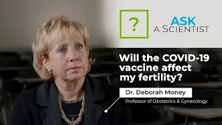 Ask a Scientist: Will the COVID-19 vaccine affect my fertility?