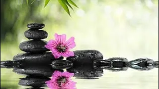 Beautiful Relaxing Music ! Peaceful Piano Music & Guitar Music , Sunny Mornings , meditation music