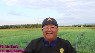 Yog Tsis Khob Hmoob Yuav Piam (26/11/2021)