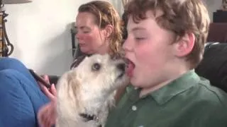 We Salute Dogs Licking People's Mouths