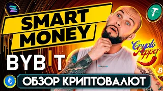 cyberconnect сколько еще будет расти и где дозаход