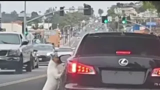 Woman rescues dog after it was abandoned by driver in Long Beach