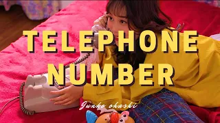 Junko Ohashi (大橋純子) - Telephone Number [Unofficial MV]