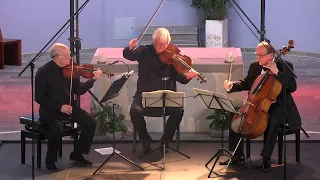 Ludwig van Beethoven, Serenade for String Trio in D Major, Op. 8