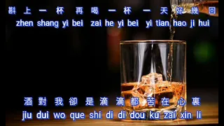 Pei Jiu {陪酒} karaoke no vocal female 女版伴奏