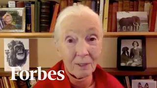 How Dr. Jane Goodall Finds Hope In Challenging Times