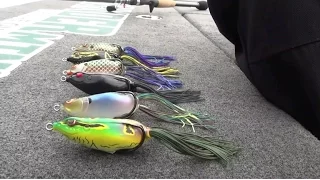 What color frog should you throw? Dean Rojas breaks down selecting the righ shade