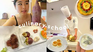 student life vlog 👩🏻‍🍳 trying fruits and stinky cheeses, studio tour, culinary school updates
