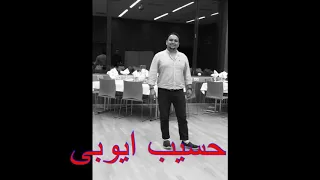 من بار سنگينم مرا بگذار و بگذر  نيکم، بدم، اينم مرا بگذار و بگذر  حسیب ایوبی  Hasib Ayuobi