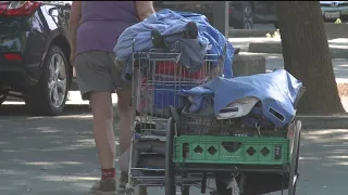 Woodland Council Approves City-Sanctioned Homeless Encampment