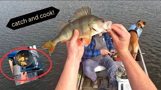 redfin catch, clean and cook! (LAKE BUFFALO)