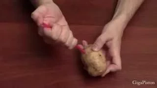 Крутой ТРЮК с картошкой. Как такое возможно???