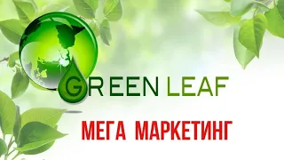 Короткий маркетинг Greenleaf