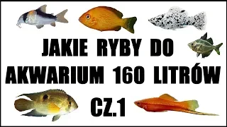 Jakie ryby do akwarium  160 - 200  litrów?  Część 1. Akwarystyka.