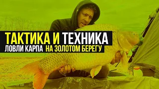 Советы по технике и тактике ловли карпа на водоёме ЗОЛОТОЙ БЕРЕГ 🏆 ИНТЕРВЬЮ / Часть 2