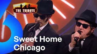 Sweet Home Chicago - Brothers od Blues | The Tribute