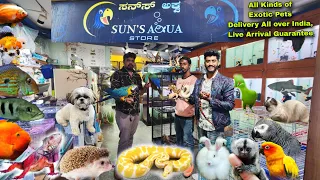 Sun's Aqua Store | Exotic Pet shop  Bangalore, Full Store Tour | Owl , Birds , Turtles, Python, Fish