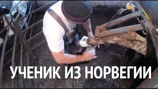 Ученик из Норвегии - осваиваем копыта