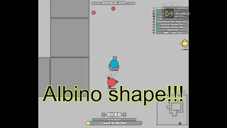 ALBINO SHAPE!│arras io
