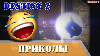 Destiny 2 Приколы Смешные моменты Баги Лаги