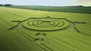 Crop Circle of 2023 in 4K | Roundway Down - Nr Devizes | Wiltshire UK | 2023-06-11