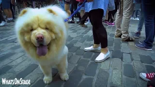 Walking the Royal Mile at Edinburgh Fringe