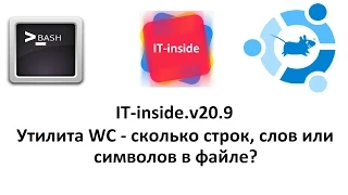 v20.9 Утилита WC - Сколько строк, слов или символов в файле?