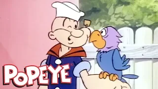 All New Popeye - Polly Wants Some Spinach AND MORE (Episode 30)
