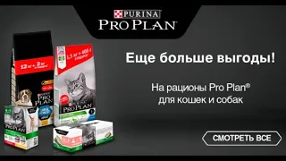 Сухой корм Pro Plan с Алиэкспресс / Корм для кошек и собак из Китая / Pro Plan Sterilised