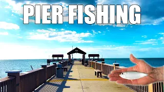 Fishing Clearwater Beach Pier 60 And Teaching People How To Fish!