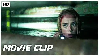 Crawl Movie Clip "It's Not Safe Down Here" (2019) HD | Mixfinity International