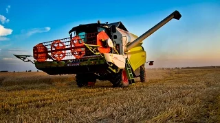 Żniwa 2014-Koszenie pszenicy Arkadii - Claas Tucano 320 [FULL HD]