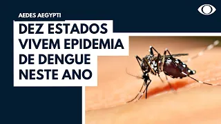 Dez estados vivem epidemia de dengue neste ano