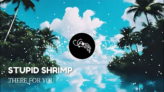 Stupid Shrimp - There For You (Extended Mix)
