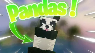 Wir bauen ein PANDA GEHEGE in MINECRAFT 1.19 | Tropical Island #4