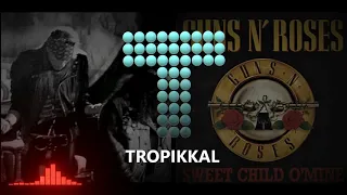 Sweet Child O' Mine by Guns N' Roses (TROPIKKAL RMX) [2020]