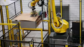 End-of-Line Robotic Case Packer & Palletizer - Schneider Packaging