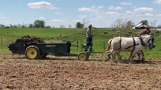 John Coley Mule Hitch