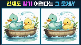 【다른그림찾기/치매예방】천재도 찾기 어렵다는 그 문제!!【틀린그림찾기/기억력향상/숨은그림찾기/Find the Difference】139