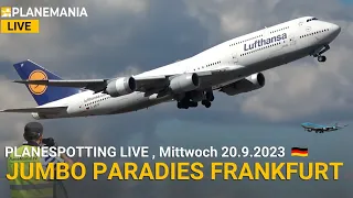 ✈️ PlaneMania Planespotting LIVE Frankfurt: Nonstop Heavies (747, A340, A350, B787, B777)