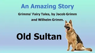 Learn English through story | Old Sultan | English Story for Learning English
