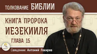 Книга пророка Иезекииля. Глава 15 "Преимущество виноградной лозы"  Священник Антоний Лакирев
