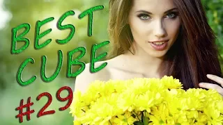 Best cube 29. Лучшие приколы COUB 18+