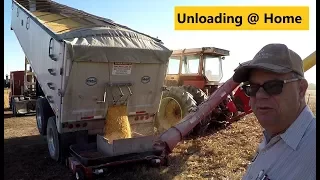 "It Eats the Grain", Unloading 1000 Bushel of Corn into Grain Bin, Corn Harvest