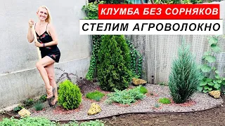 КЛУМБА БЕЗ СОРНЯКОВ.  АГРОВОЛОКНО НА КЛУМБЕ.