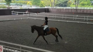 Girl cantering along coolly until all hell break loose
