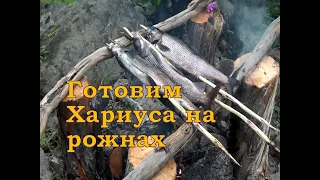 Хариус на рожнах.